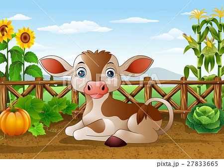 Cartoon cow sitting in the farm Cartoon cow sitting in the farm 27833665
