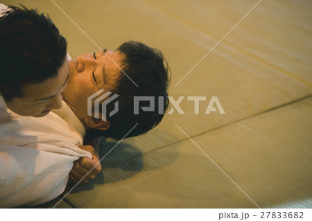 martial artist 27833682