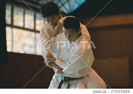 martial artist 27833689