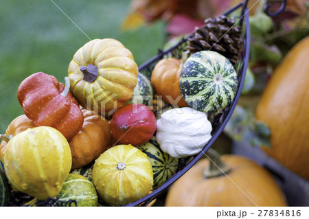 ハロウィンかぼちゃ 27834816