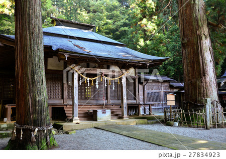 飛騨高山 日枝神社 拝殿と大杉(2016.10) 飛騨高山 日枝神社 拝殿と大杉(2016.10) 27834923