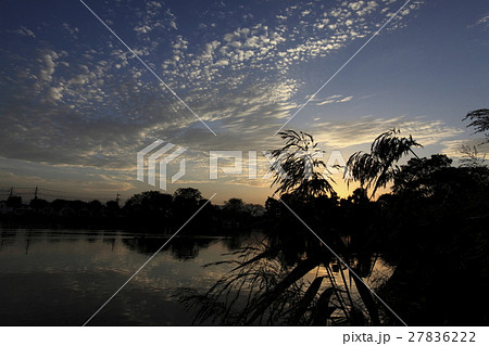 夕暮れ時の公園 夕暮れ時の公園 27836222