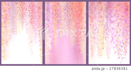 Spring background with blooming wisteria 27836381