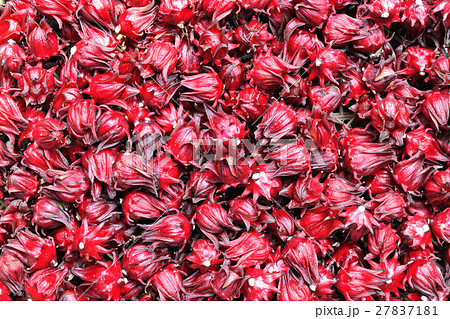 台湾 農耕 農業 27837181