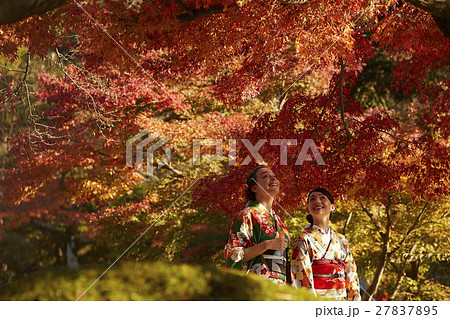 紅葉を満喫する日本人女性と外国人女性 紅葉を満喫する日本人女性と外国人女性 27837895