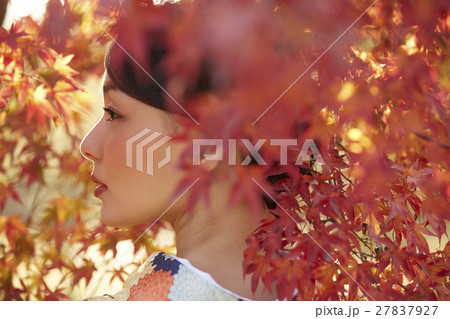 鮮やかな紅葉と着物の女性 ポートレート 鮮やかな紅葉と着物の女性 ポートレート 27837927