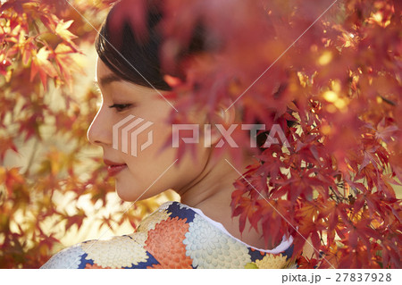 鮮やかな紅葉と着物の女性 ポートレート 鮮やかな紅葉と着物の女性 ポートレート 27837928