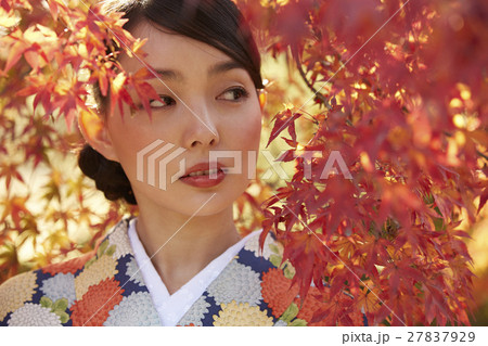 鮮やかな紅葉と着物の女性 ポートレート 鮮やかな紅葉と着物の女性 ポートレート 27837929