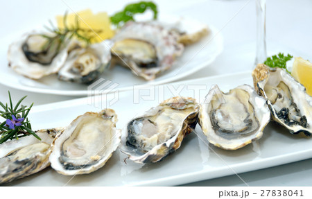 牡蠣・カキ・岡山産 27838041