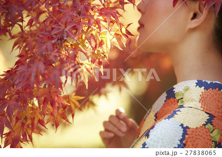 鮮やかな紅葉と着物の女性　ポートレート 27838065