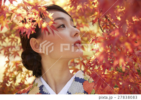 鮮やかな紅葉と着物の女性 ポートレート 鮮やかな紅葉と着物の女性 ポートレート 27838083