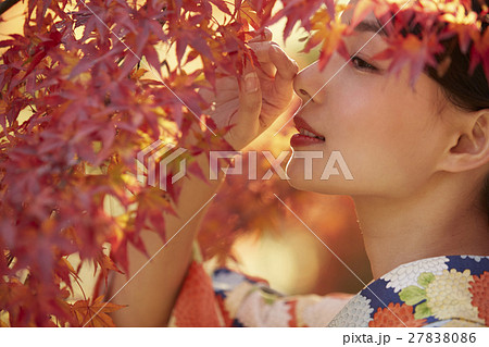 鮮やかな紅葉と着物の女性 ポートレート 鮮やかな紅葉と着物の女性 ポートレート 27838086
