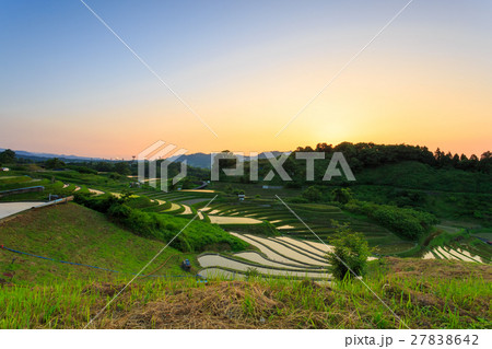 千早赤阪村棚田 夕暮れ 千早赤阪村棚田 夕暮れ 27838642