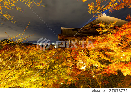清水寺 - 紅葉のライトアップ 清水寺 - 紅葉のライトアップ 27838775