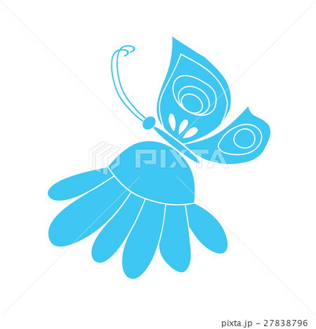 Butterfly on camomile 27838796