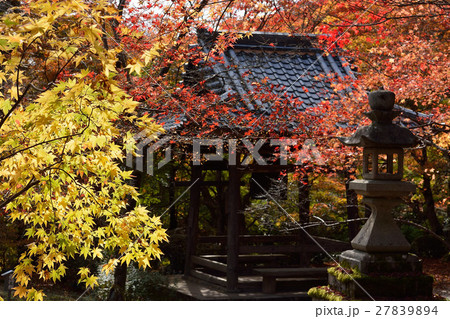 京都勝持寺の秋 京都勝持寺の秋 27839894