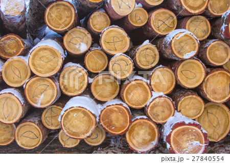 Background of firewood stacked in the cut wood Background of firewood stacked in the cut wood 27840554