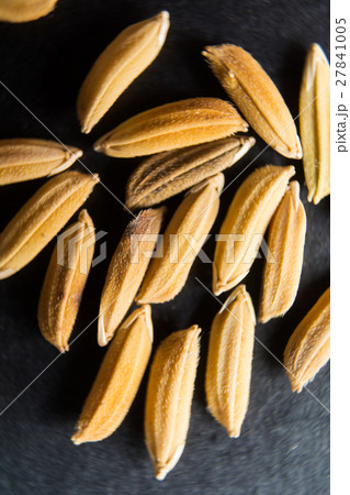 Macro paddy on background Macro paddy on background 27841005
