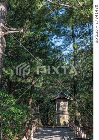 松林の中の祠 27841480