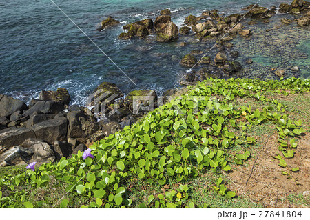 Aerial view of a tropical island Aerial view of a tropical island 27841804