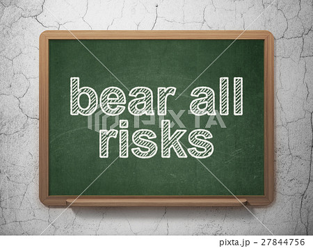 Insurance concept: Bear All Risks on chalkboard 27844756