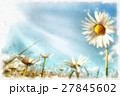 spring daisy flower field vintage 27845602