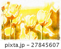 watercolor akvarel effect of spring yellow tulips 27845607
