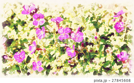 Beautiful spring flowers day in vintage tone Beautiful spring flowers day in vintage tone 27845608