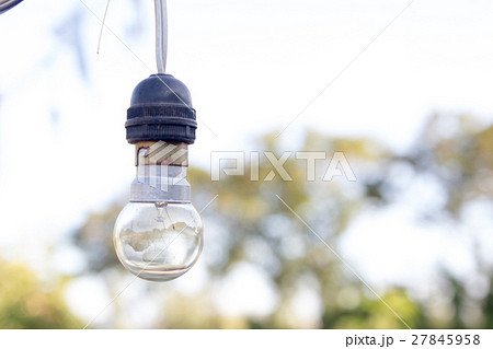 Light bulb hang with the green background 27845958