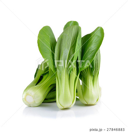 Bok choy vegetable on white background 27846883
