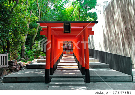 Red archs at Ikuta shrine (God of love ) ,Kobe. Red archs at Ikuta shrine (God of love ) ,Kobe. 27847365