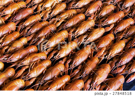 Many crawfishes 27848518