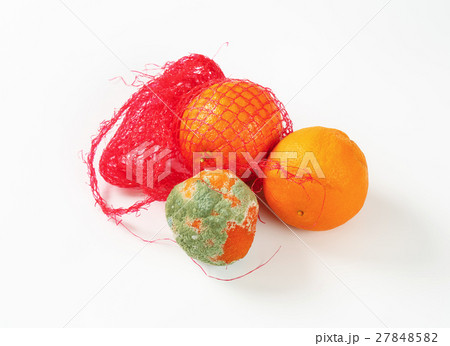 ripe and rotten oranges ripe and rotten oranges 27848582