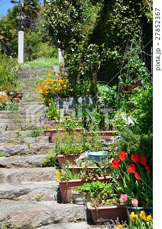 石段・花壇(広島県尾道市) 石段・花壇(広島県尾道市) 27852367