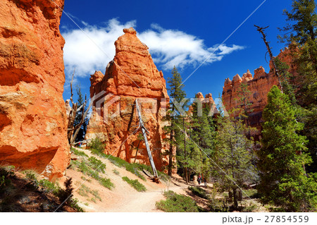 Scenic view of red hoodoos in Bryce Canyon Scenic view of red hoodoos in Bryce Canyon 27854559