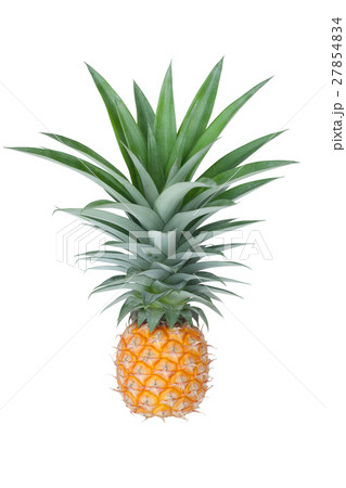 A fresh pineapple isolated on white background A fresh pineapple isolated on white background 27854834