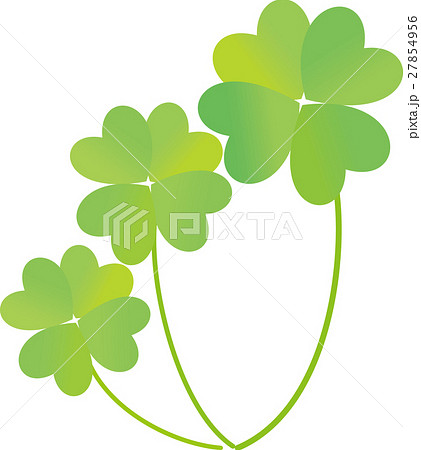 四つ葉のクローバー　三本 27854956