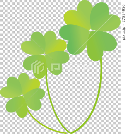 四つ葉のクローバー　三本 27854956