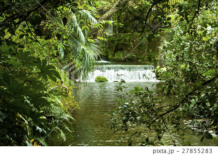 湧き水 27855283