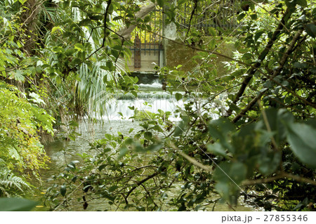 湧き水 27855346