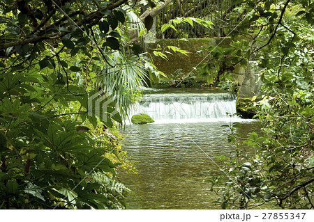 湧き水 27855347