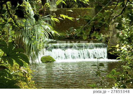 湧き水 27855348