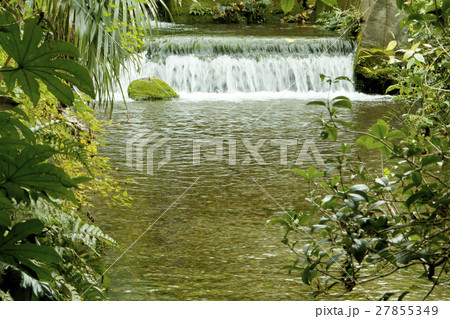 湧き水 湧き水 27855349