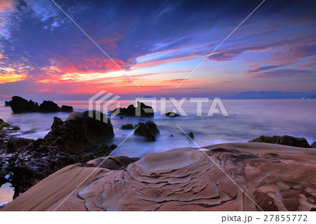 薔薇 バラ科 バラ 27855772