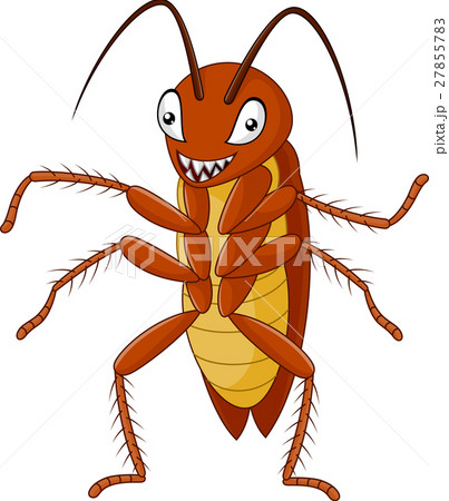 Cute Cockroach isolated on white backgroundのイラスト素材 [27855783] - PIXTA