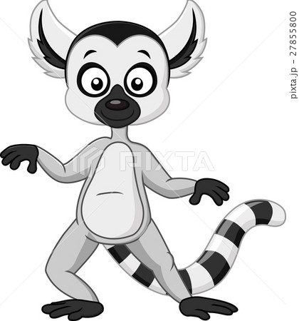 Ring-tailed lemur cartoon Ring-tailed lemur cartoon 27855800