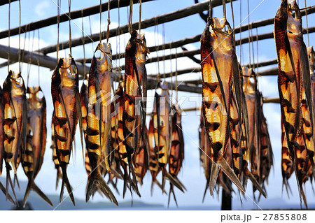 儲け 稼ぎ すがすがしさ 27855808