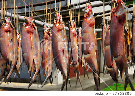 儲け 稼ぎ すがすがしさ 27855809