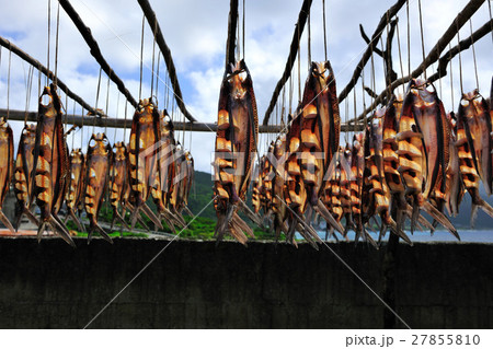 儲け 稼ぎ すがすがしさ 27855810