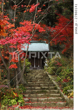 善水寺の紅葉 27860141
